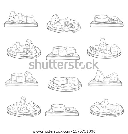 Cheese set. Different types of cheese on a wooden board. Vector sketch illustration.