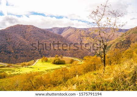 Autumn in Saja Natural Park, Cantabria, Spain