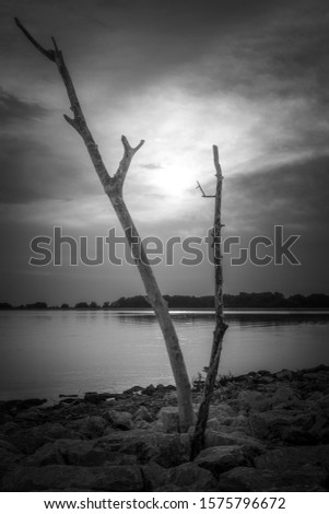 Dead branches used like perfect foreground. Kralova reservoir, Slovakia, black and white, branches, ladnscape photography, dramatic sky, fine art. 