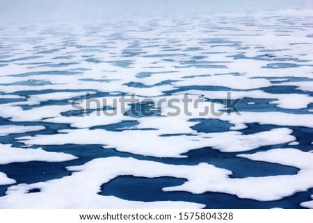 ice at North pole and near (from 84 to 90 degrees) , pack ice, multi-year ice, glacial. Typical picture of status of polar ice in middle of summer, many melt water pools. Climate change