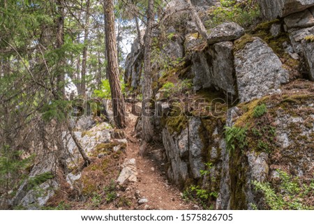 View at Trail in Park in Vancouver, Canada. Mountain and rock background.