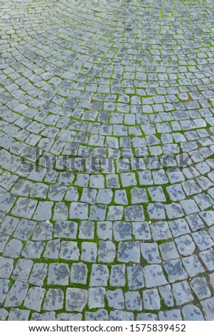 The flooring is made from natural cobble stone which is lined up for a long period of use by using these materials in landscape work.