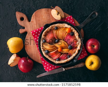 Apple pie with cinnamon on a close textured background. Traditional dessert for independence Day in America. Rustic style. The view from the top