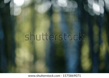 blur background tree leaves in wet autumn. foliage details in nature abstract pattern