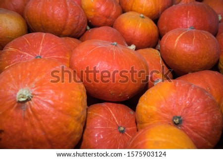 Fresh orange pumpkins as a background. Vegetable store