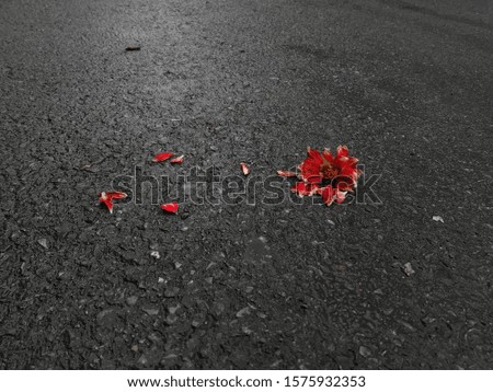 Smashed red flower on concrete