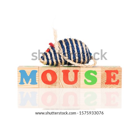 New playing cubes with pet toy isolated over white background