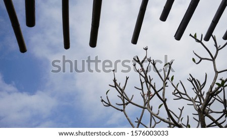 blue sky, branches and roof