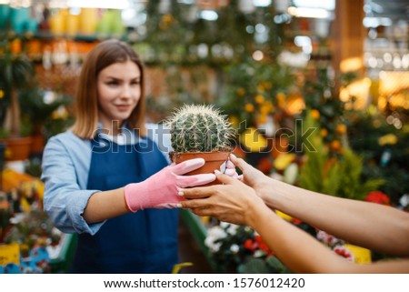 Female seller shows plants in a pot to woman