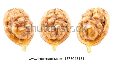 walnuts peeled in half shell with flowing shiny honey or oil. a drop is hanging on the edge. photo from different sides. isolated on white background Royalty-Free Stock Photo #1576043131