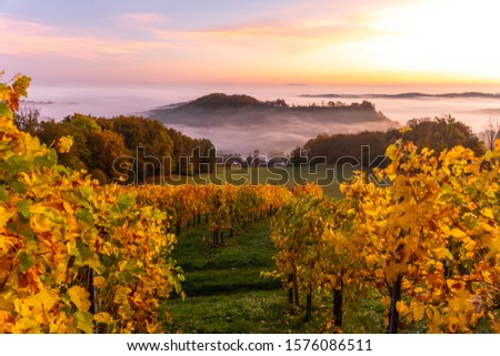 Amazing misty autumn morning in hilly Styria, Austria.