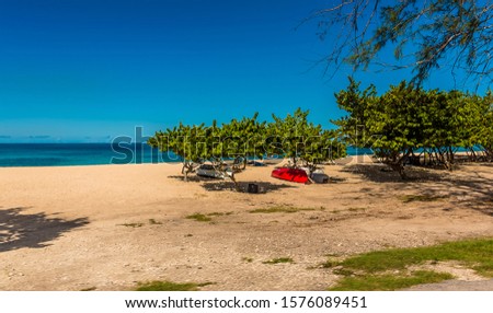 A white sandy beach shaded by trees in Bridgetown, Barbados