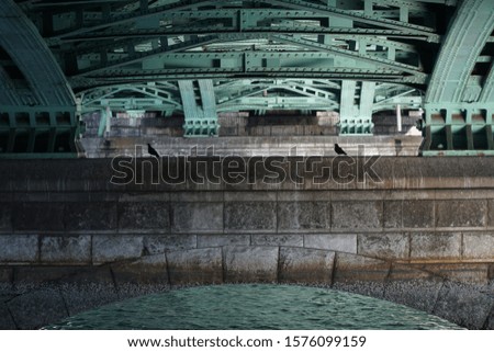 picture showing two pigeons under the bridge in tokyo