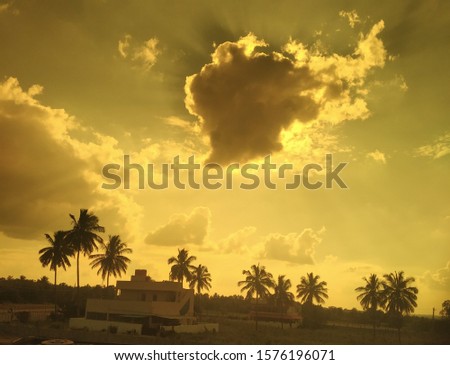 Blue sky, palm trees, landscape, scenery, high definition, images Blue sky, palm trees, ... blue sky and coconut trees hd picture ...nature bule sky and coconut treees looking butifull and intresting 
