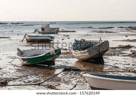 Picture of abandoned boats left on shore.