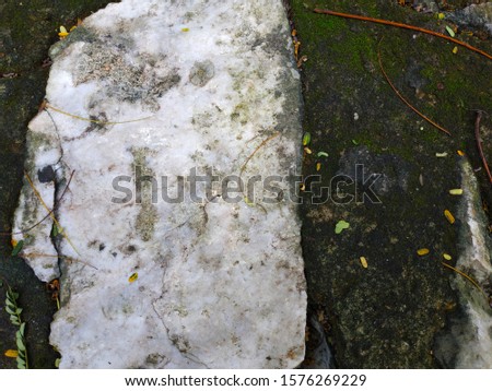 Photo background. marble stone texture, natural look, wildlife