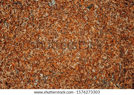 Red and orange autumn leaves background. On the street. The colorful image of fallen autumn leaves is perfect for seasonal use. 