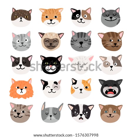 Funny cats face emtions. Cute funny cat characters faces, animals emtion set, happy and angry, sad and haughty mood heads