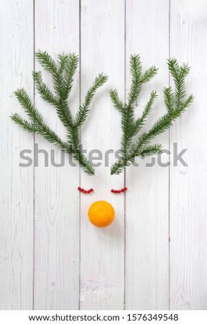 Christmas reindeer antlers. The concept consists of spruce branches on a light wooden background
