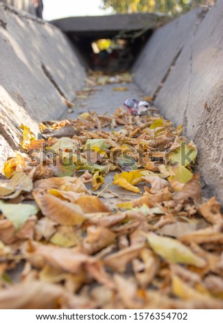 garbage in stock from rain in the form of leaves and dirt