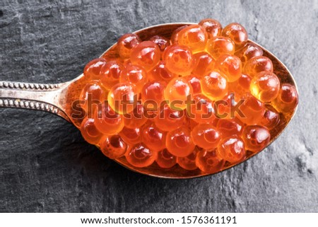 Silver spoon of red caviar on gray graphite background. Macro picture.