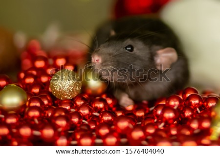 Christmas rat Symbol of the new year 2020. Year of the rat. Chinese New Year 2020. Christmas toys, bokeh. Rat on the background of Christmas decorations. Christmas greeting card template