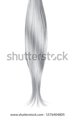 Gray shiny hair on white background, isolated. Long ponytail