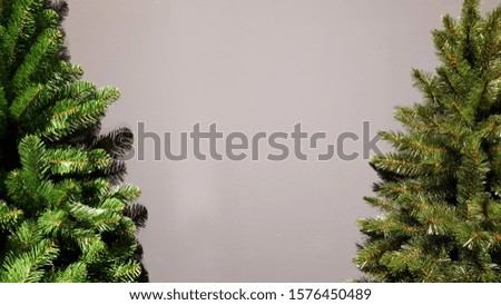 Christmas tree isolated beside from  blank grey background