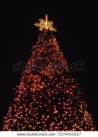 Christmas tree lights at night.