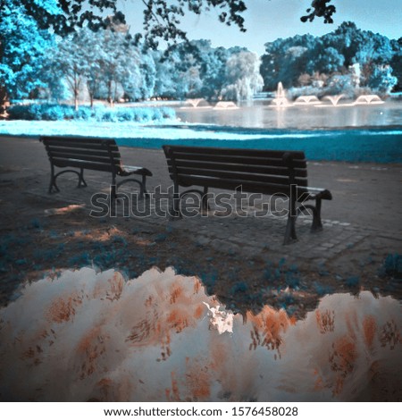 Infrared view of outdoor public park