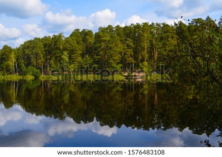 Summer scenic landscape. Symmetrical reflection of the pine forest in the calm water of the lake.