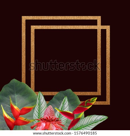 Tropical flowers and leaves border on claret-red background with golden frames