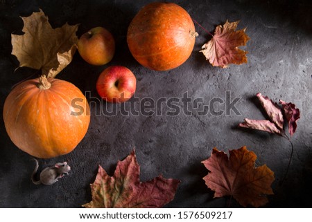 Thanksgiving Day. Rustic pumpkins and leaves on a dark background, copy space