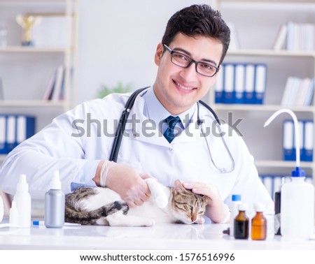 Cat visiting vet for regular check up
