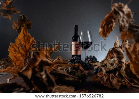 Bottle and glass of red wine on a table with dried vine leaves and blue grapes. On a bottle empty old paper label, free space for your text. Selective focus.