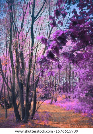 Infrared view of outdoor public park