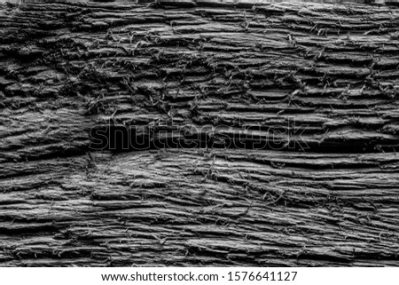 Surface of old textured wooden board for background. Toned.
