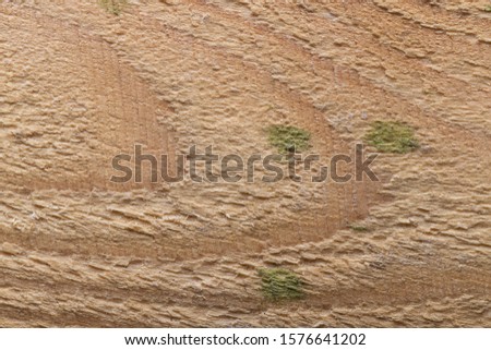 Surface of old textured wooden board for background.
