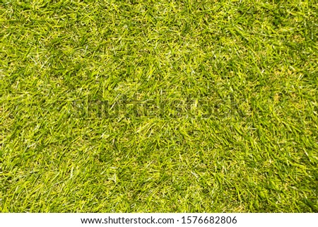Surface of artificial light green lawn