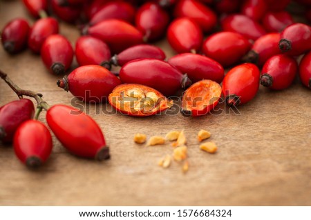 Freshly picked rose hips on the wooden table. Rose hip commonly known as rose hip (Rosa canina). Royalty-Free Stock Photo #1576684324
