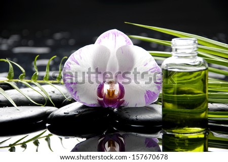 Still life with white orchid ,massage oil, fern and zen stones
