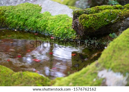 Japanese garden decoration Emphasizing the calmness and maintaining the natural balance Zen concepts for relaxation balance and harmony spirituality or wellness in Kyoto,Japan