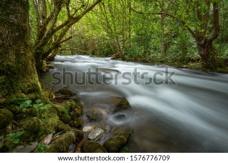 Impetuous current in a river among deciduous forests, in Samos, Courel, Galicia