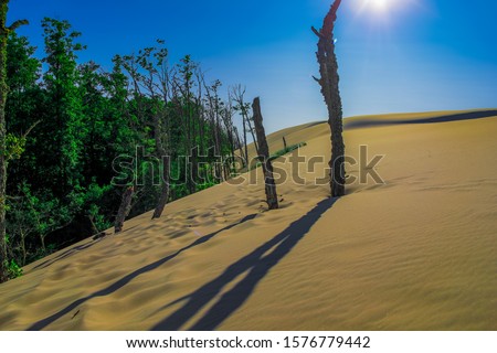 Leba in Poland - The Slowinski National Park, A Desert by the Baltic Sea. Incredible Place on Earth with the Largest Stretch of Moving Sand Dunes in Europe Pictures Taken in a Very Hot Day.
