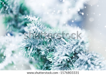 A closeup of a pine branch with snow. Christmas and New Year festive background.