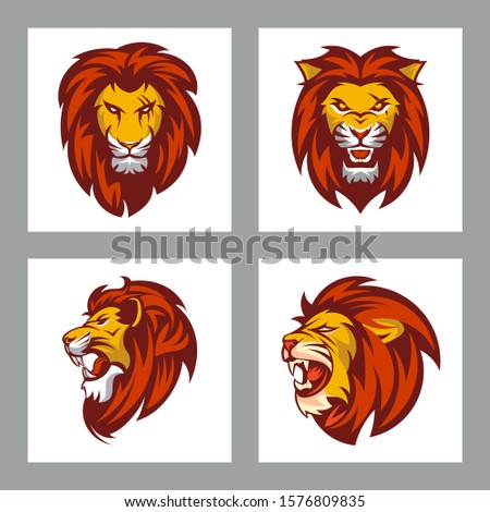 set of lions head for mascot or logo