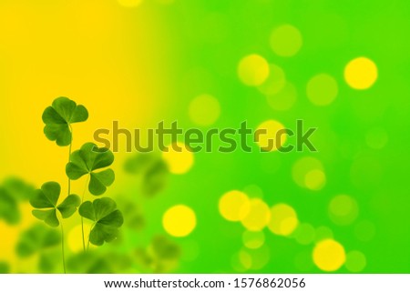 Green clover leaves on a background summer landscape. St.Patrick 's Day