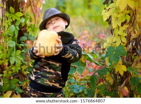boy with pumpkin in the autumn forest
