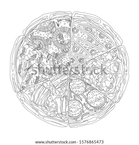 Pizza from different slices top view coloring isolated on white coloring book page vector illustration.