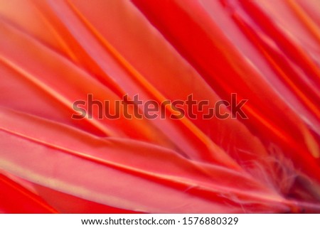 Beautiful abstract colorful white orange and red feathers on colorful background and soft white yellow pink feather texture on white pattern